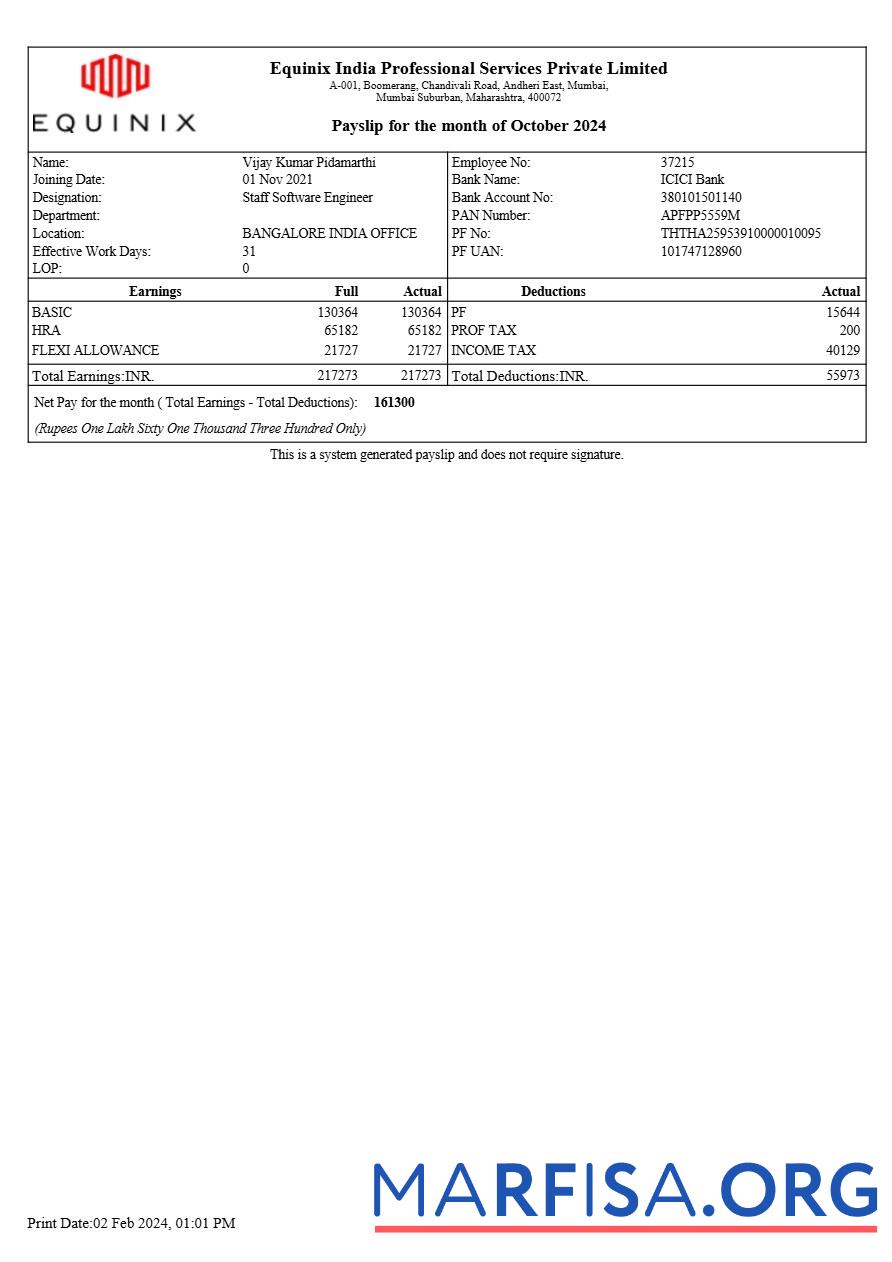 Blank Equinix India Professional Services payslip real example